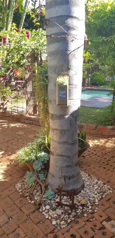 Africas Eden Guesthouse Mookgophong Exteriér fotografie